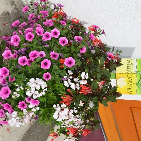 Moederndorfer, Fulpmes