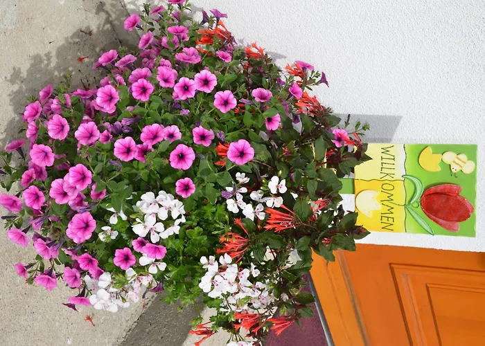 Moederndorfer, Fulpmes