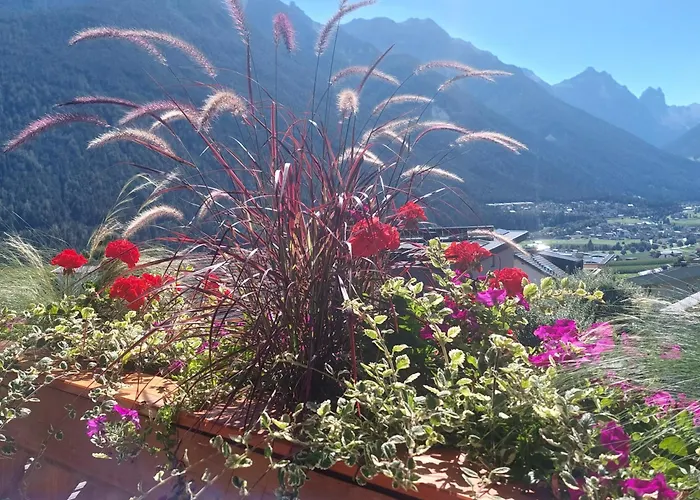 Moederndorfer, Fulpmes